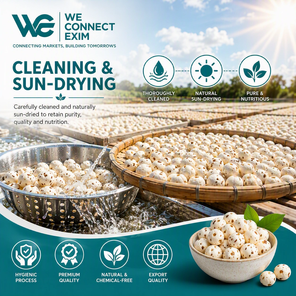Makhana cleaning and sun drying process India